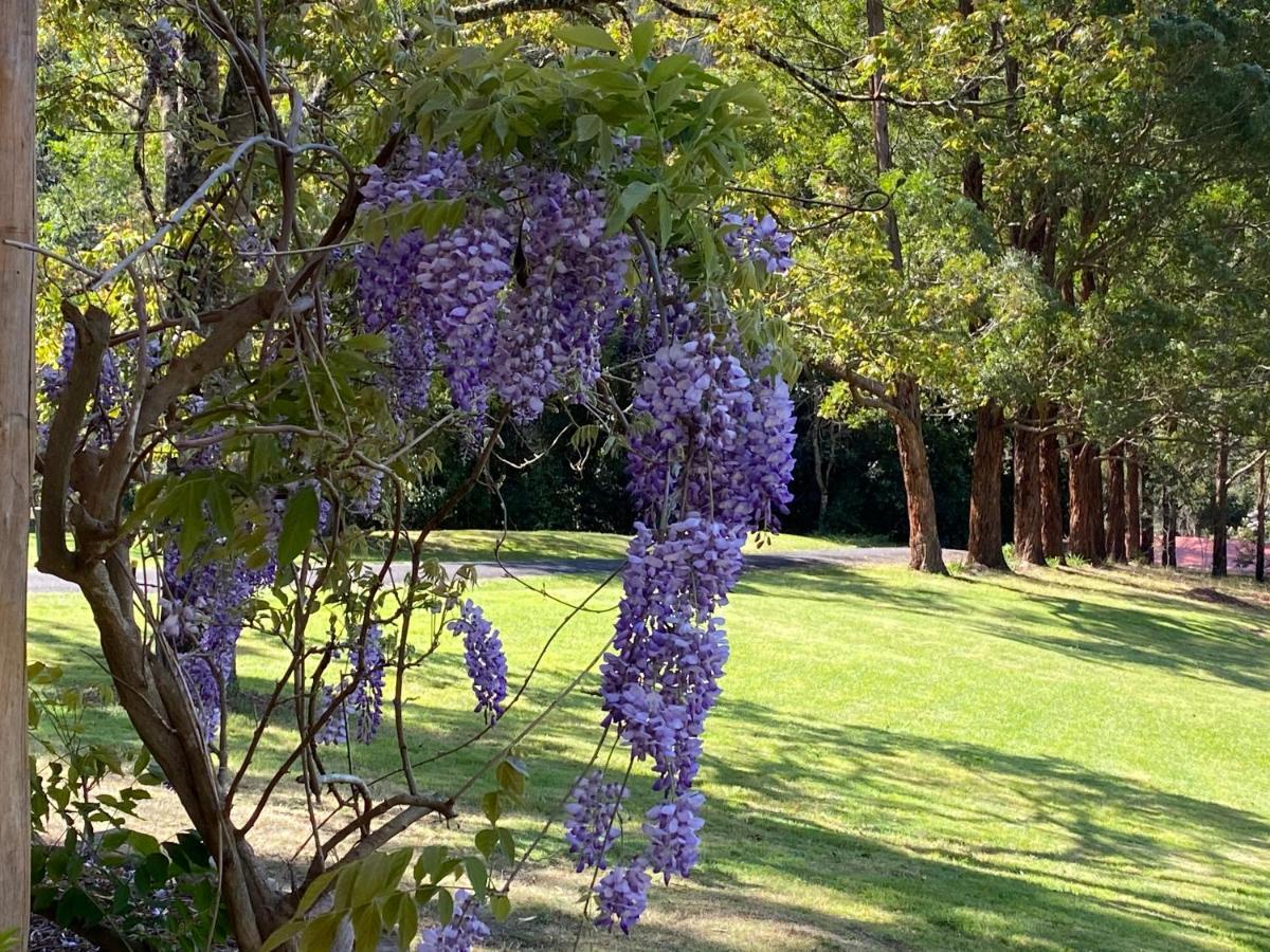 Copeland House Bed & Breakfast Exterior photo